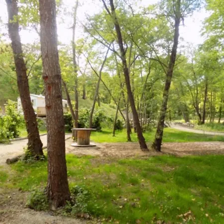 With 2 Bedrooms In Prunellidifiumorbo With Furnished Garden And Wifi 6 Km From The Beach